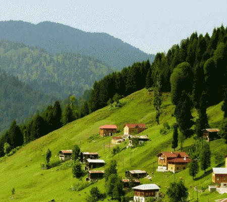 Yayla turları